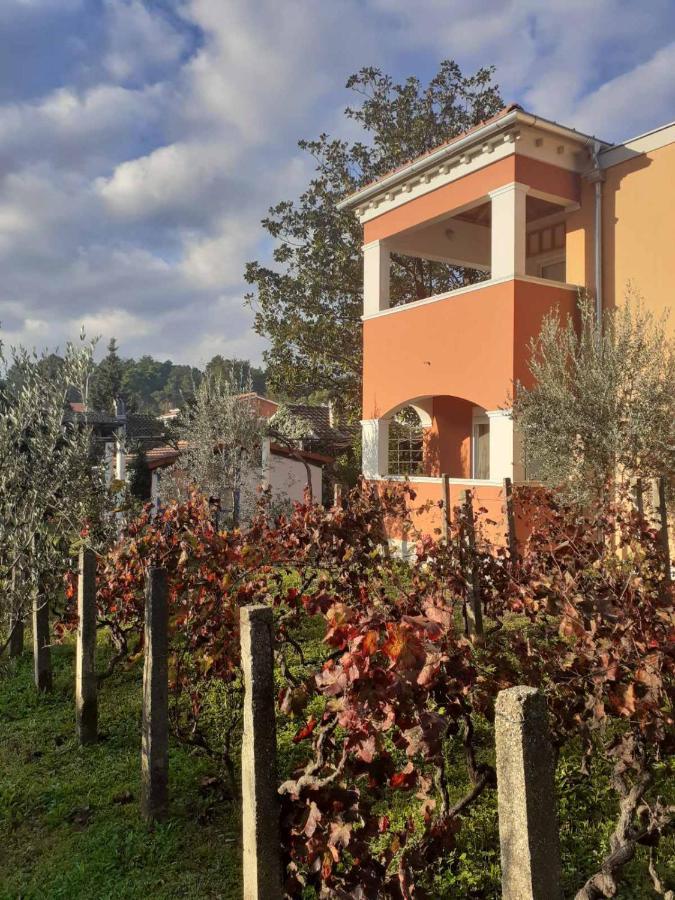 Rolovina Tivat