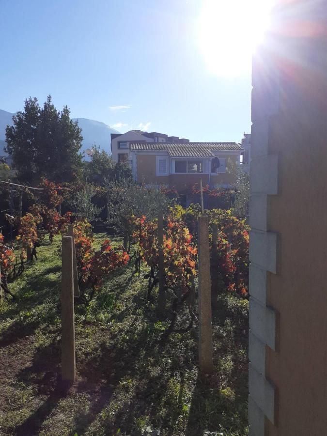 Rolovina * Tivat