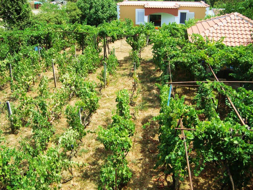 Appartement Rolovina Tivat