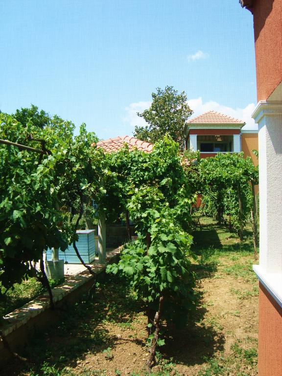 Rolovina *