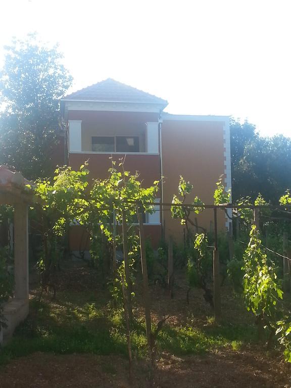 Rolovina Appartement Tivat