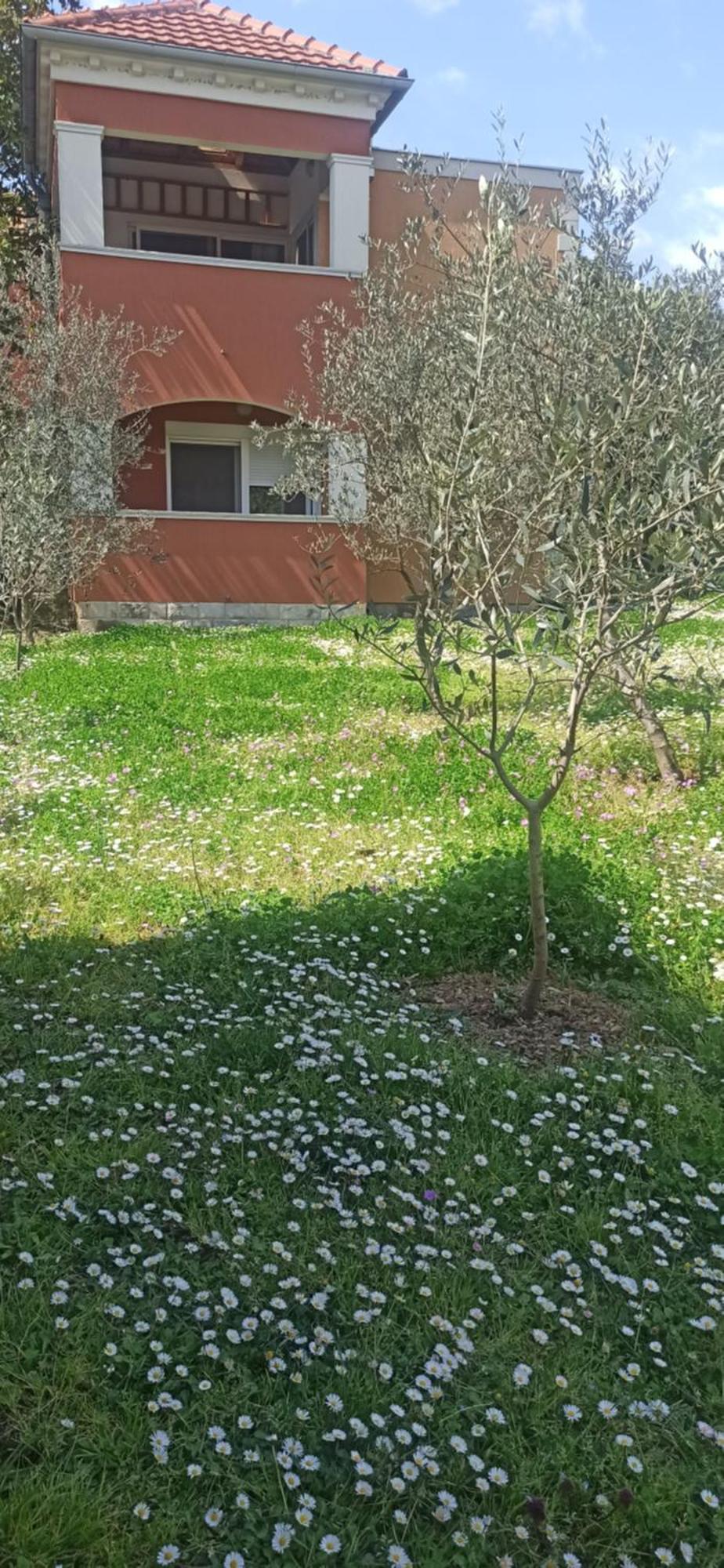 Appartement Rolovina