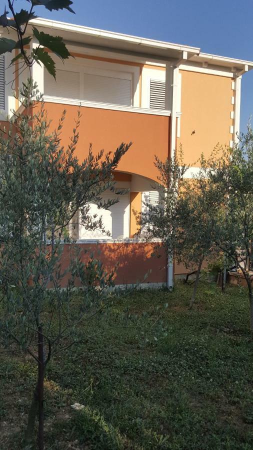 Rolovina * Tivat