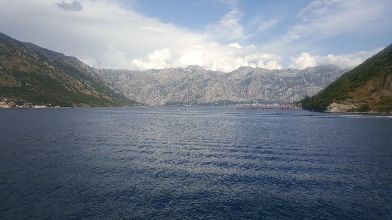 Rolovina Appartement Tivat
